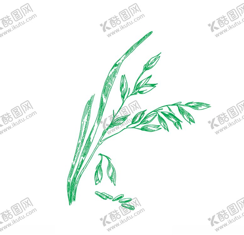 编号：19525509271257469147【酷图网】源文件下载-麦穗