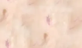 扎染花