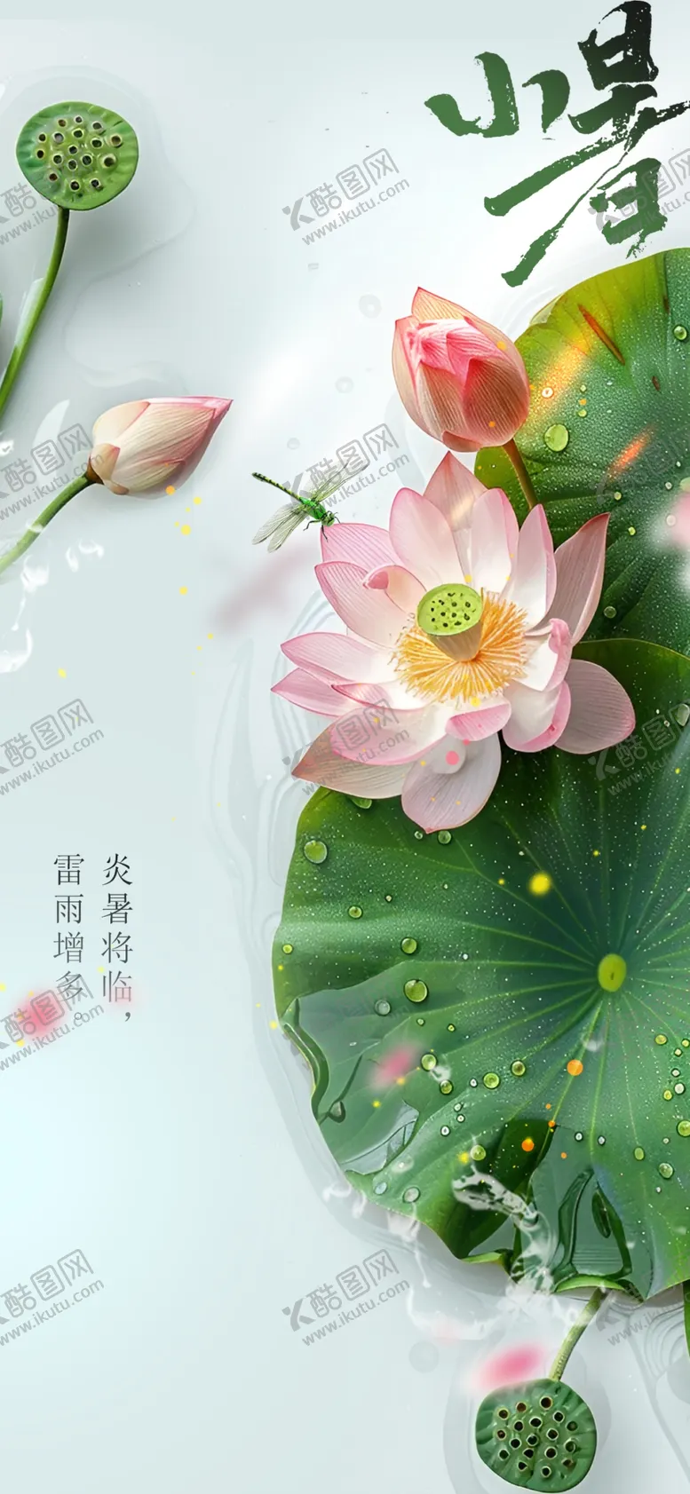 编号：49923802141416592400【酷图网】源文件下载-小暑