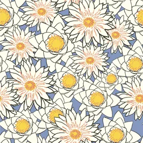 雏菊