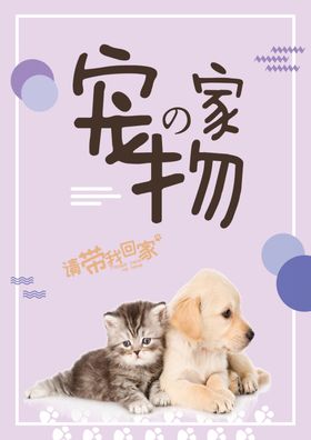 宠物之家