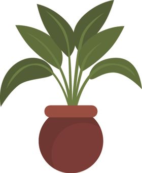 盆景盆栽