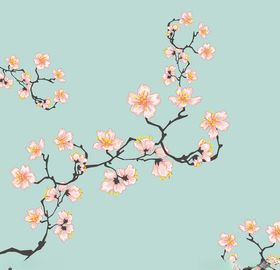 樱花