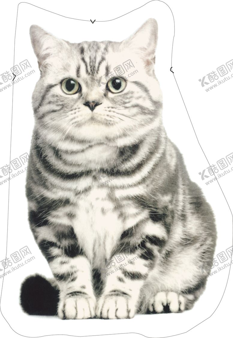 编号：82082509301913221535【酷图网】源文件下载-猫咪抱枕