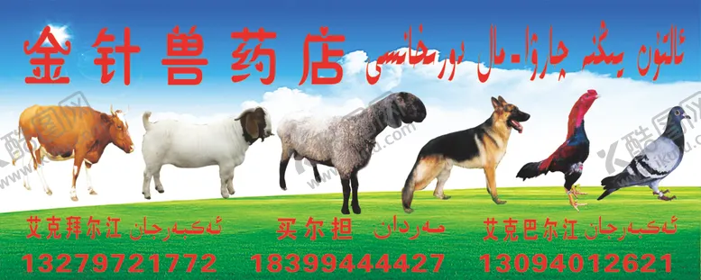 编号：83873603300407479248【酷图网】源文件下载-金针兽药店