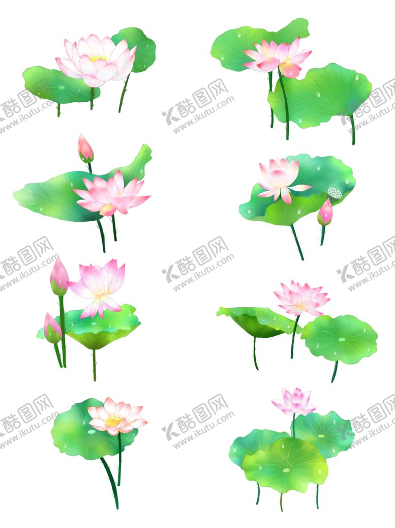 编号：44989410232037177820【酷图网】源文件下载-荷花素材