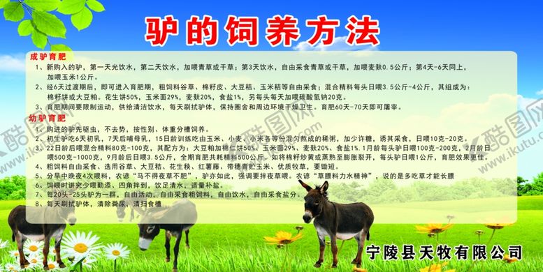 编号：79338710041437479026【酷图网】源文件下载-驴的饲养方法
