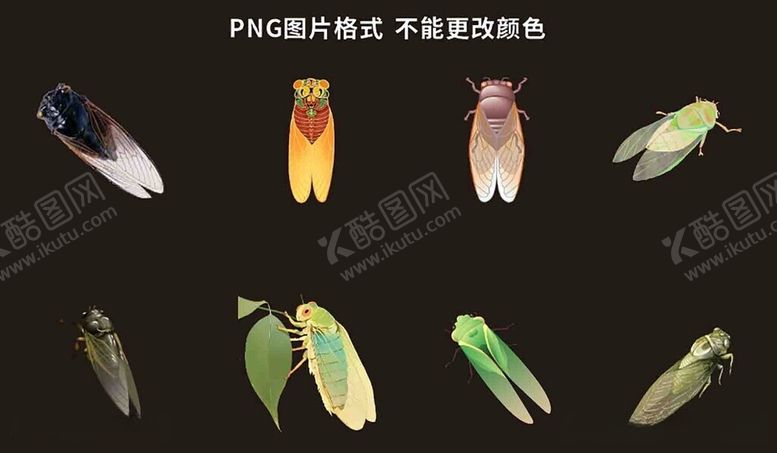 编号：71935205250548217403【酷图网】源文件下载-知了素材
