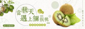 猕猴桃海报