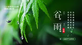 谷雨