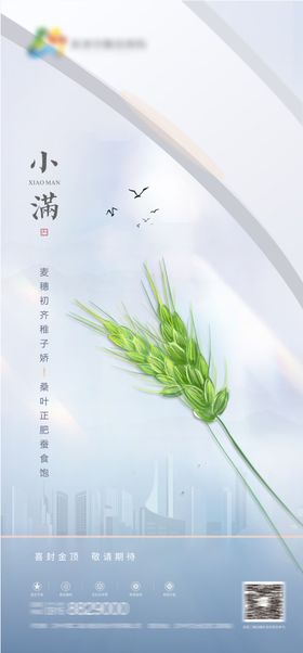 小满节气海报二十四质感地产简约