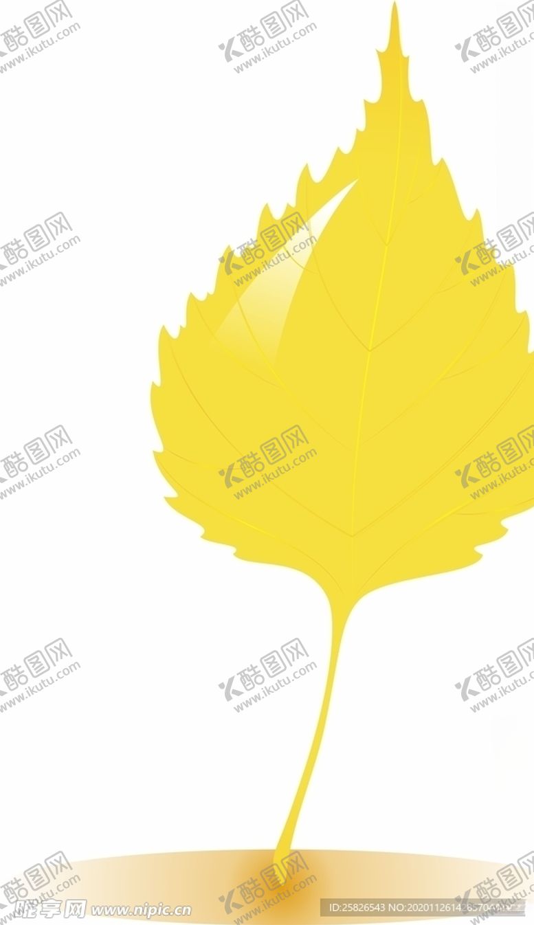 编号：55832705151123287196【酷图网】源文件下载-树叶