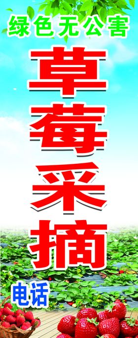 草莓采摘海报