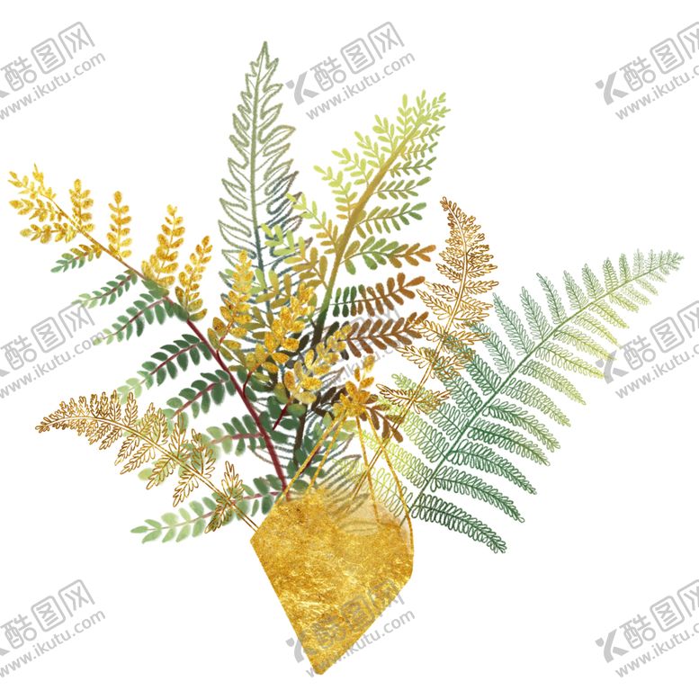 编号：27637312300121484728【酷图网】源文件下载-蕨类植物插画素材