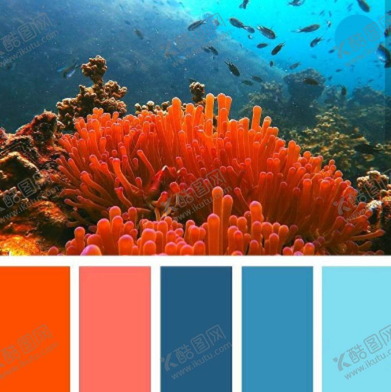 编号：35231610052008476159【酷图网】源文件下载-珊瑚配色方案