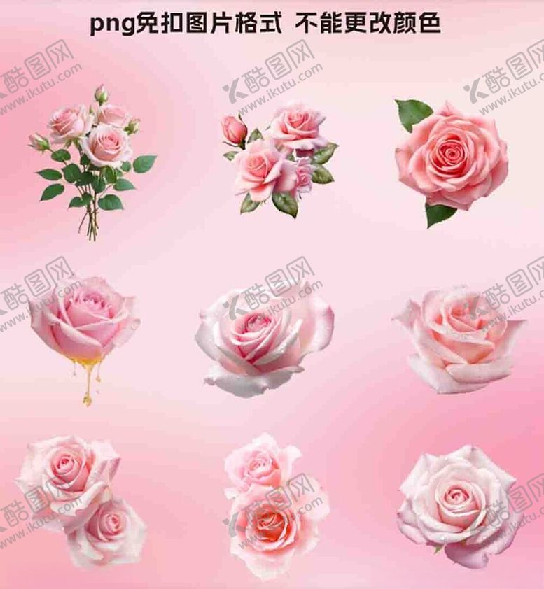 编号：34211804030024449411【酷图网】源文件下载-粉色玫瑰花