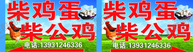 编号：24661610020207388101【酷图网】源文件下载-柴鸡蛋