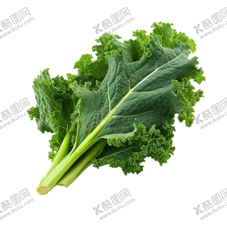 编号：40298202170622304222【酷图网】源文件下载-蔬菜PNG合集