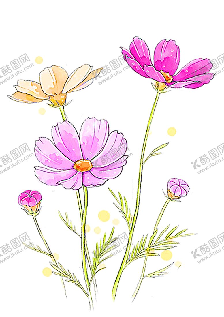 编号：52797910240121322704【酷图网】源文件下载-花素材