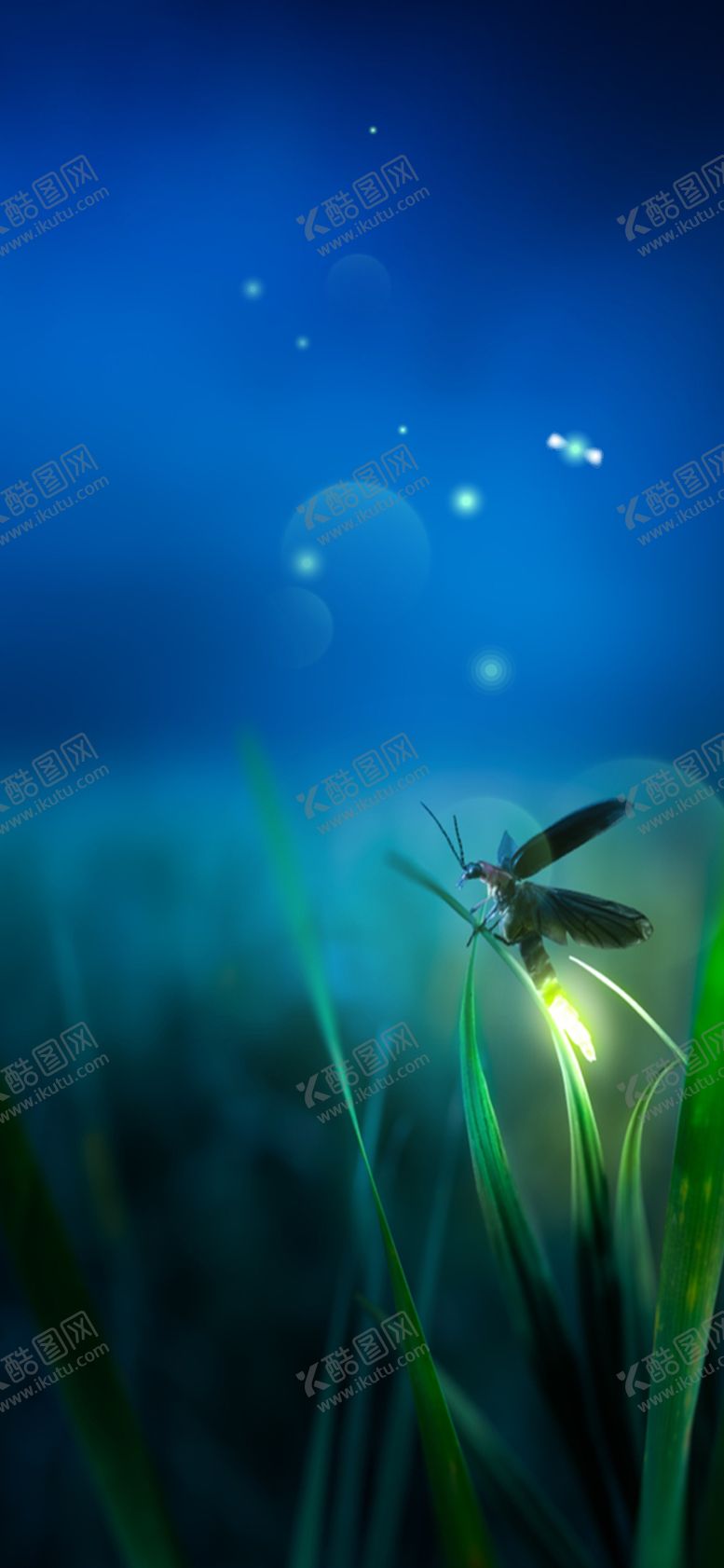 编号：11646707011130403763【酷图网】源文件下载-地产微信大暑节气