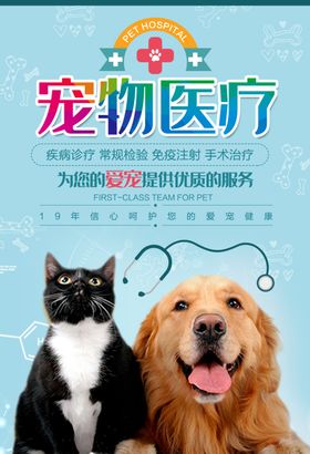 宠物医疗活动宣传海报素材