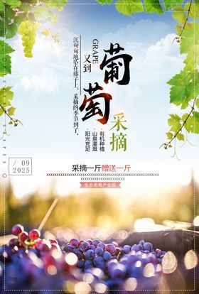 葡萄海报