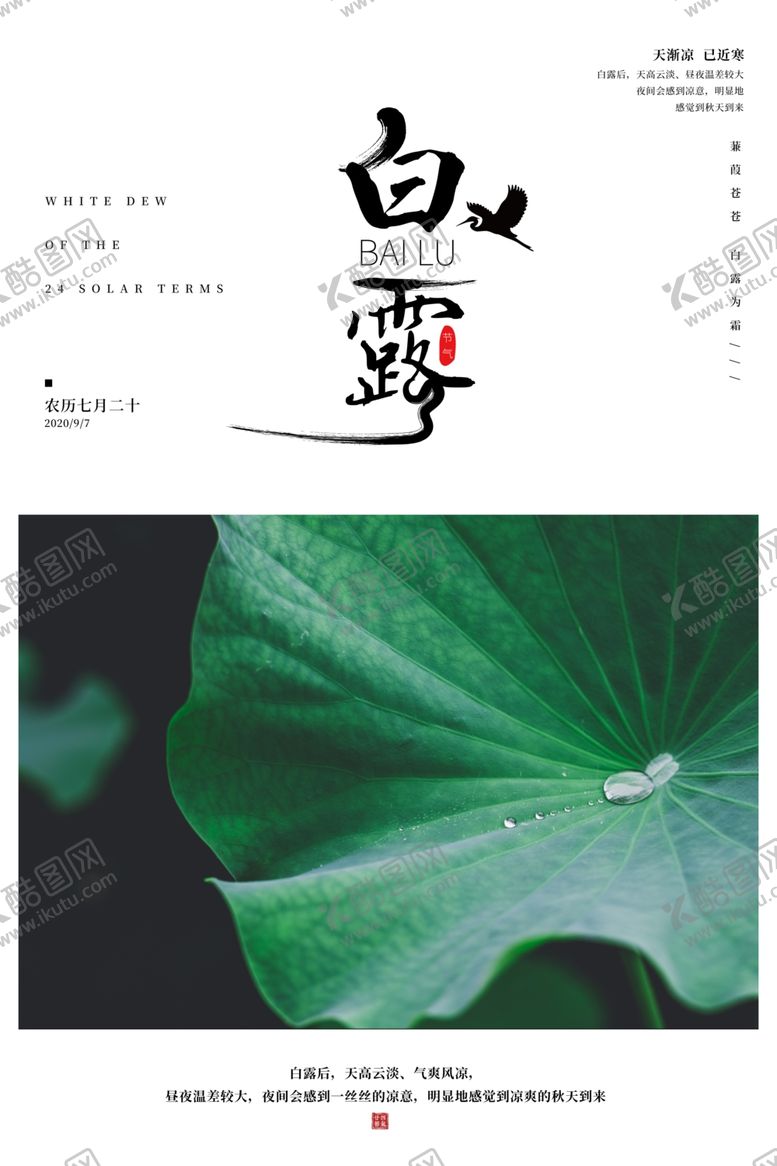 编号：50485609281213013609【酷图网】源文件下载-白露传统节日促销活动海报素材