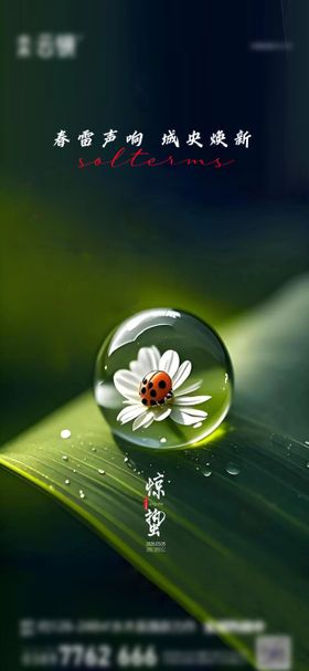 地产2026惊蛰节气推图