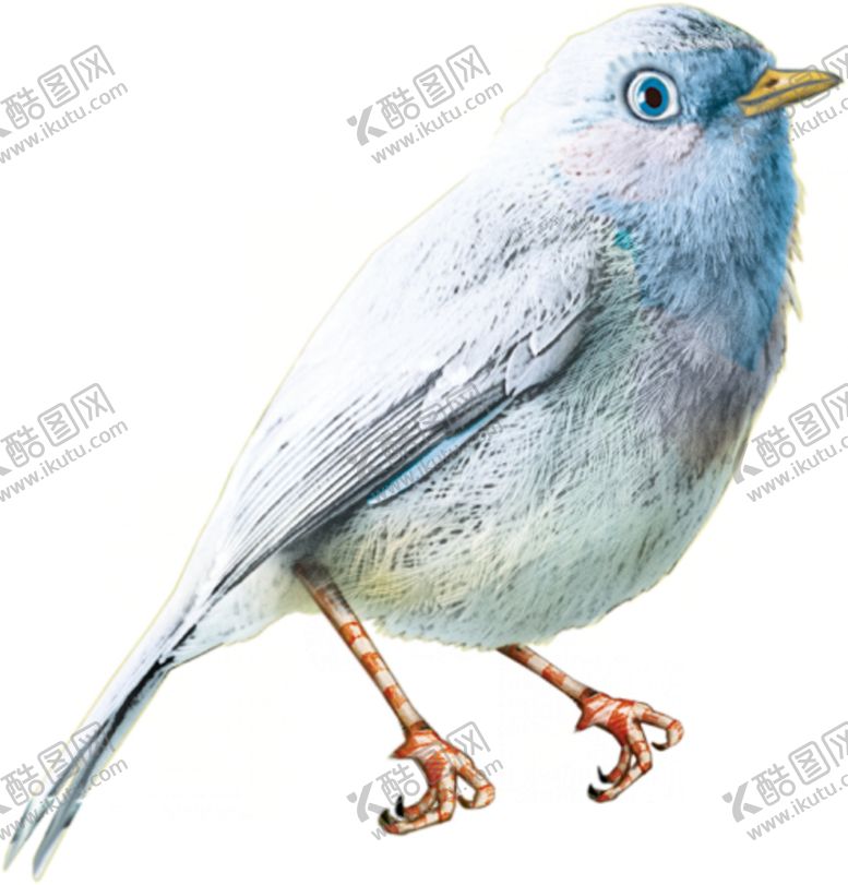 编号：51459810070041319418【酷图网】源文件下载-麻雀