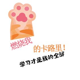 可爱卡通动物形象设计制作