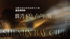 歌手大赛背景板