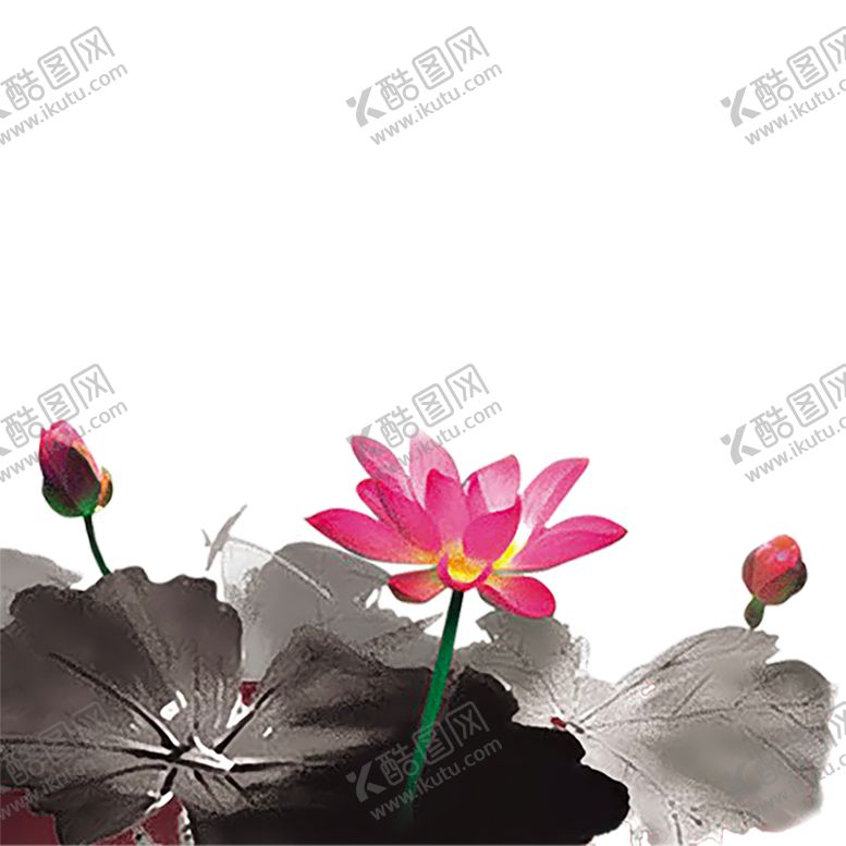编号：50527405030046039520【酷图网】源文件下载-水墨荷花粉色荷花荷花意境