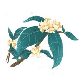 桂花