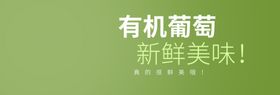 有机葡萄