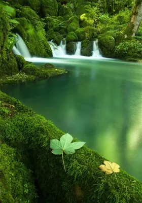 山林