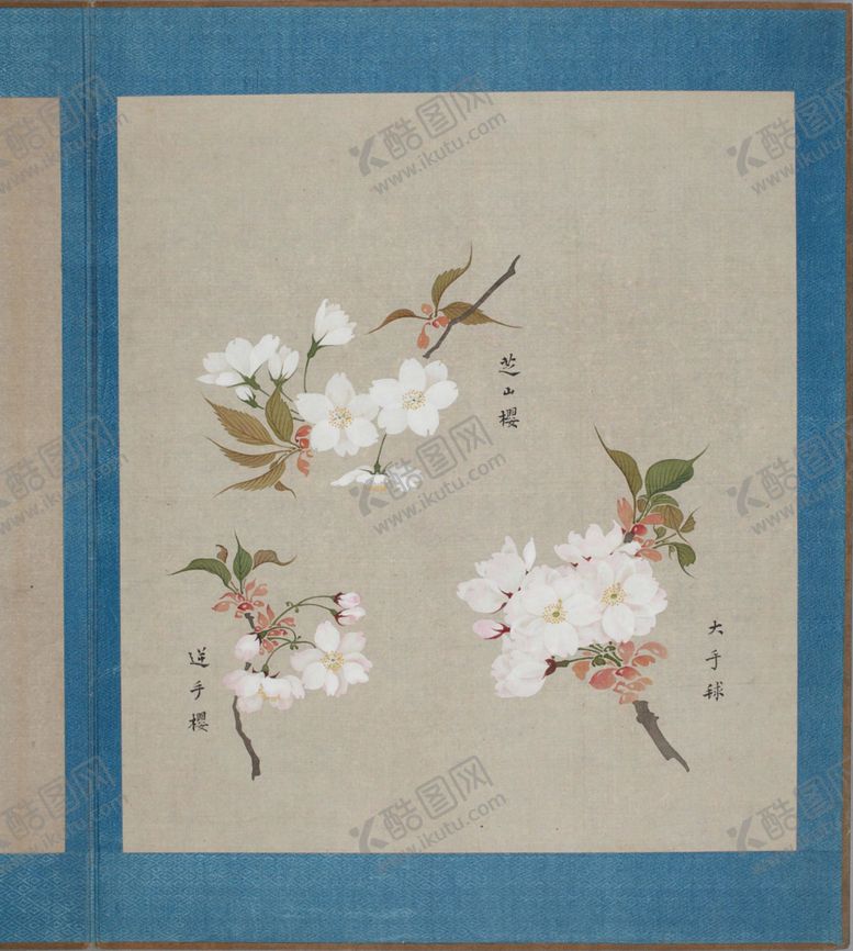 编号：98487504231442516763【酷图网】源文件下载-樱花