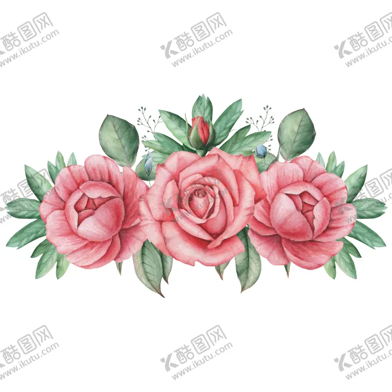 编号：11625202150926556873【酷图网】源文件下载-手绘植物花草