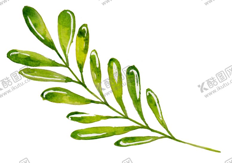 编号：67682509131658535325【酷图网】源文件下载-水彩植物