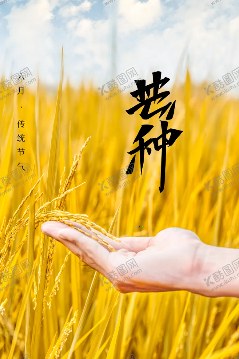 编号：63504809250116381723【酷图网】源文件下载-芒种             
