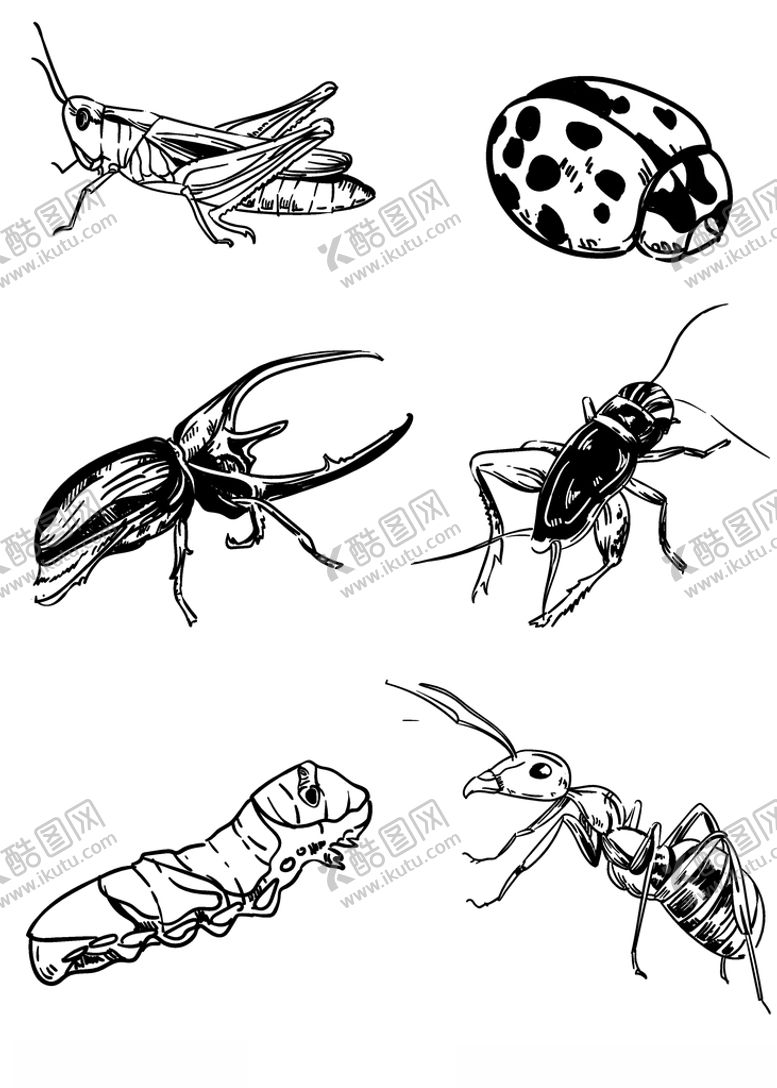 编号：55591603241538014747【酷图网】源文件下载-昆虫元素