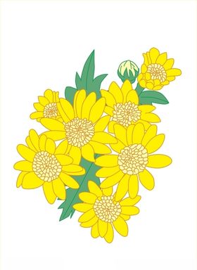 花簇