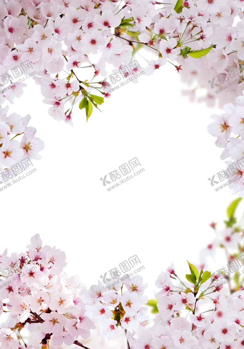 编号：53806604300858523837【酷图网】源文件下载-鲜花边框
