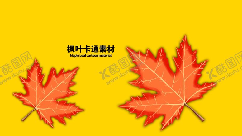 编号：38570204301027269048【酷图网】源文件下载-分层黄色黄金分割枫叶手绘素材