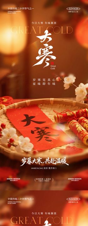 地产大寒节气喜庆海报