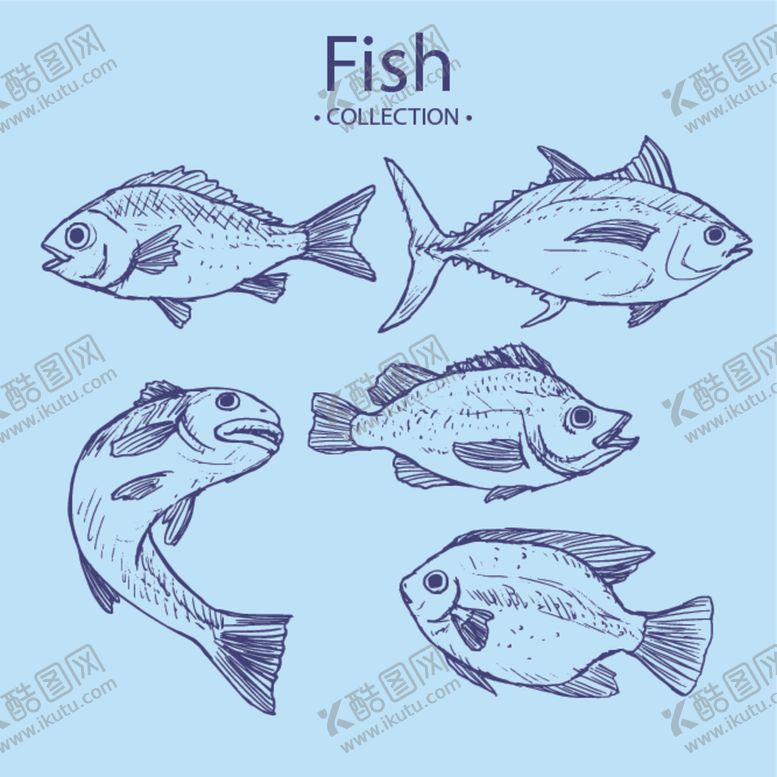 编号：18032310011932417132【酷图网】源文件下载-鱼海鲜图片