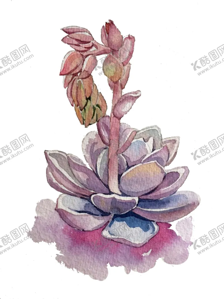 编号：83789802121453465234【酷图网】源文件下载-png格式植物花卉手绘素材