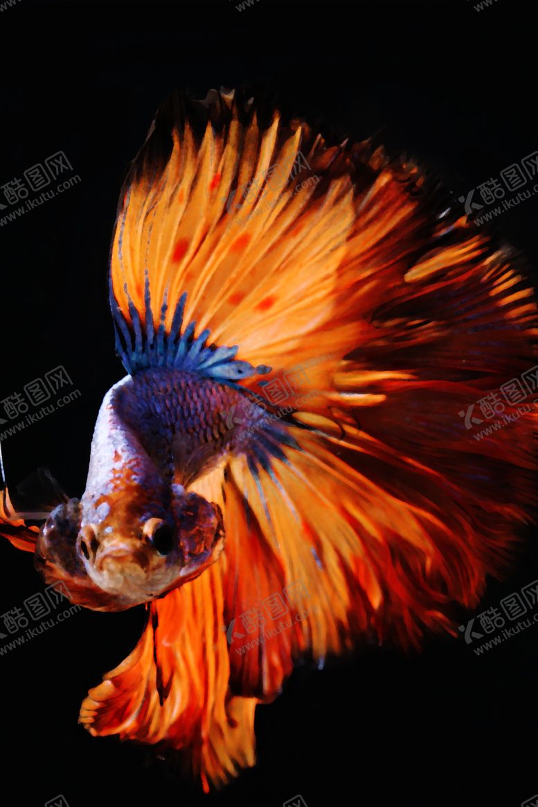 编号：22153510110447421573【酷图网】源文件下载-背景墙装饰画