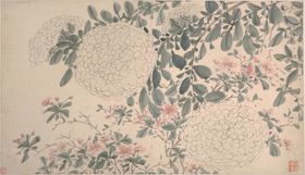 明代陈淳花卉花草绘画