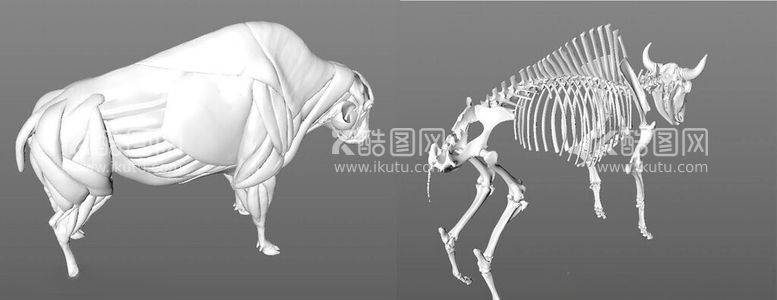 编号：90674411270932456598【酷图网】源文件下载-C4D模型牛