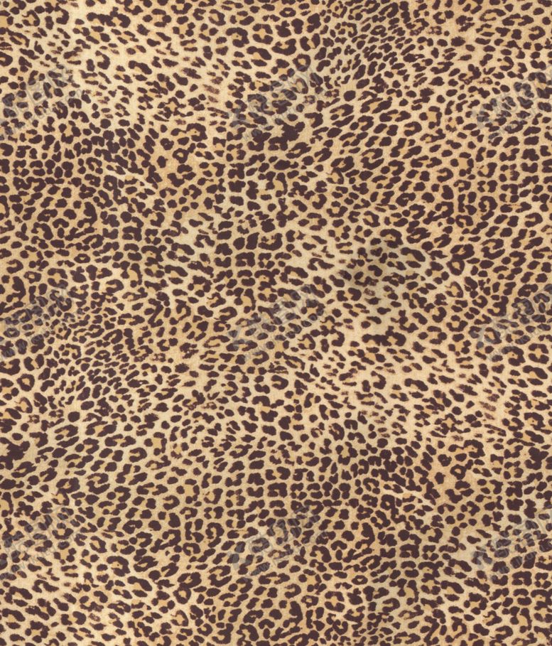 编号：10554309161408084050【酷图网】源文件下载-豹纹